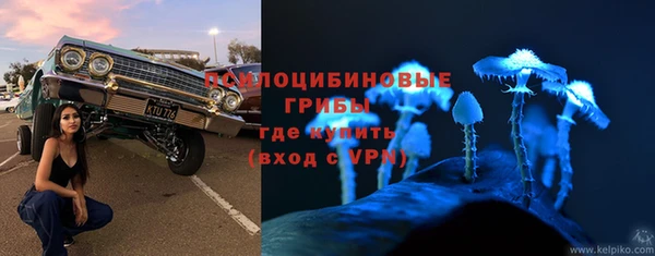 синтетический гашиш Алексеевка