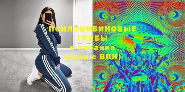 дмт Алзамай