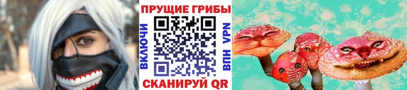 Псилоцибиновые грибы Cubensis  Купить где  Кизляр 